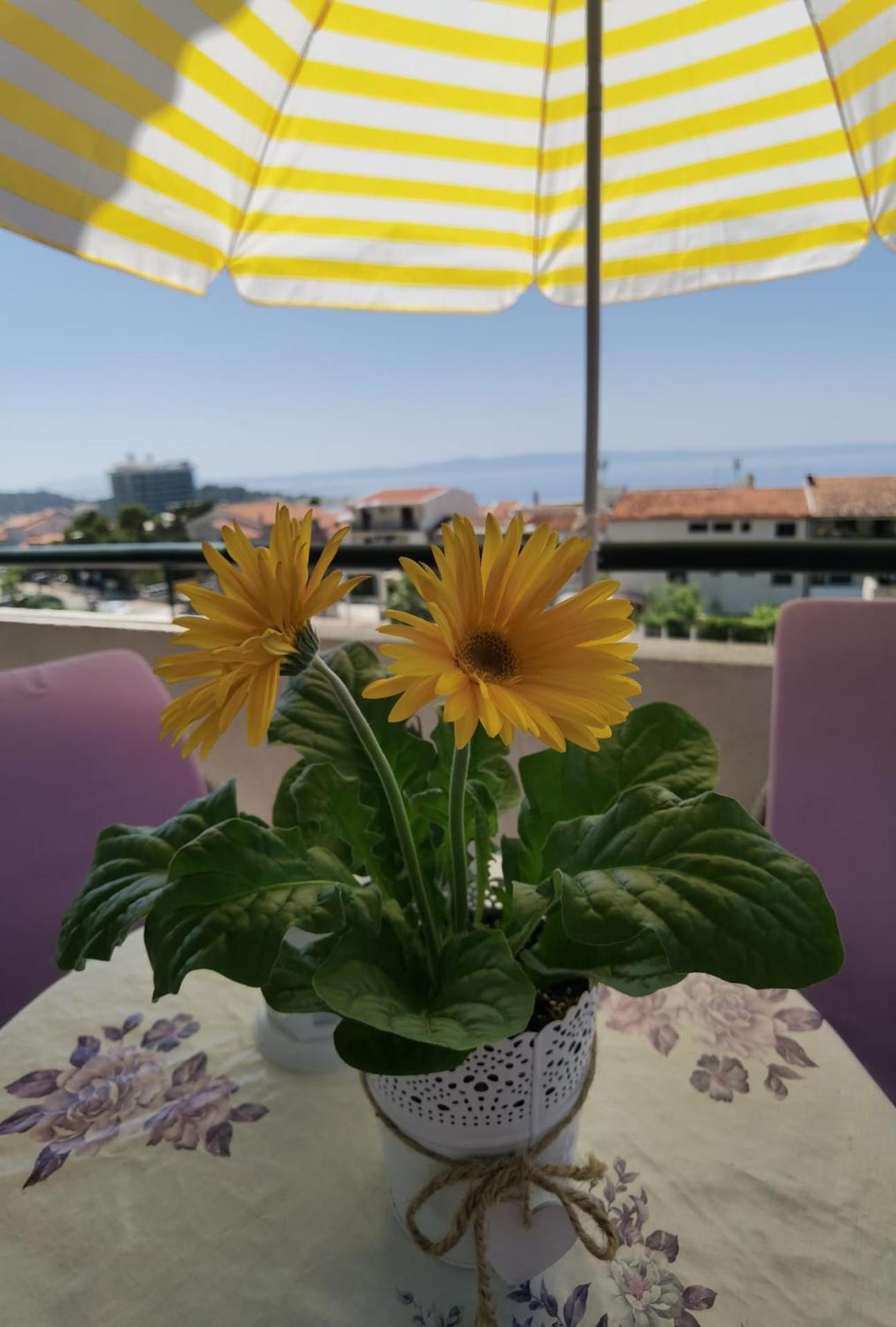 Apartment Jadranka Makarska Kültér fotó