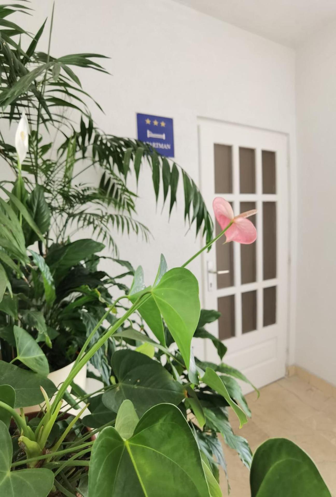 Apartment Jadranka Makarska Kültér fotó